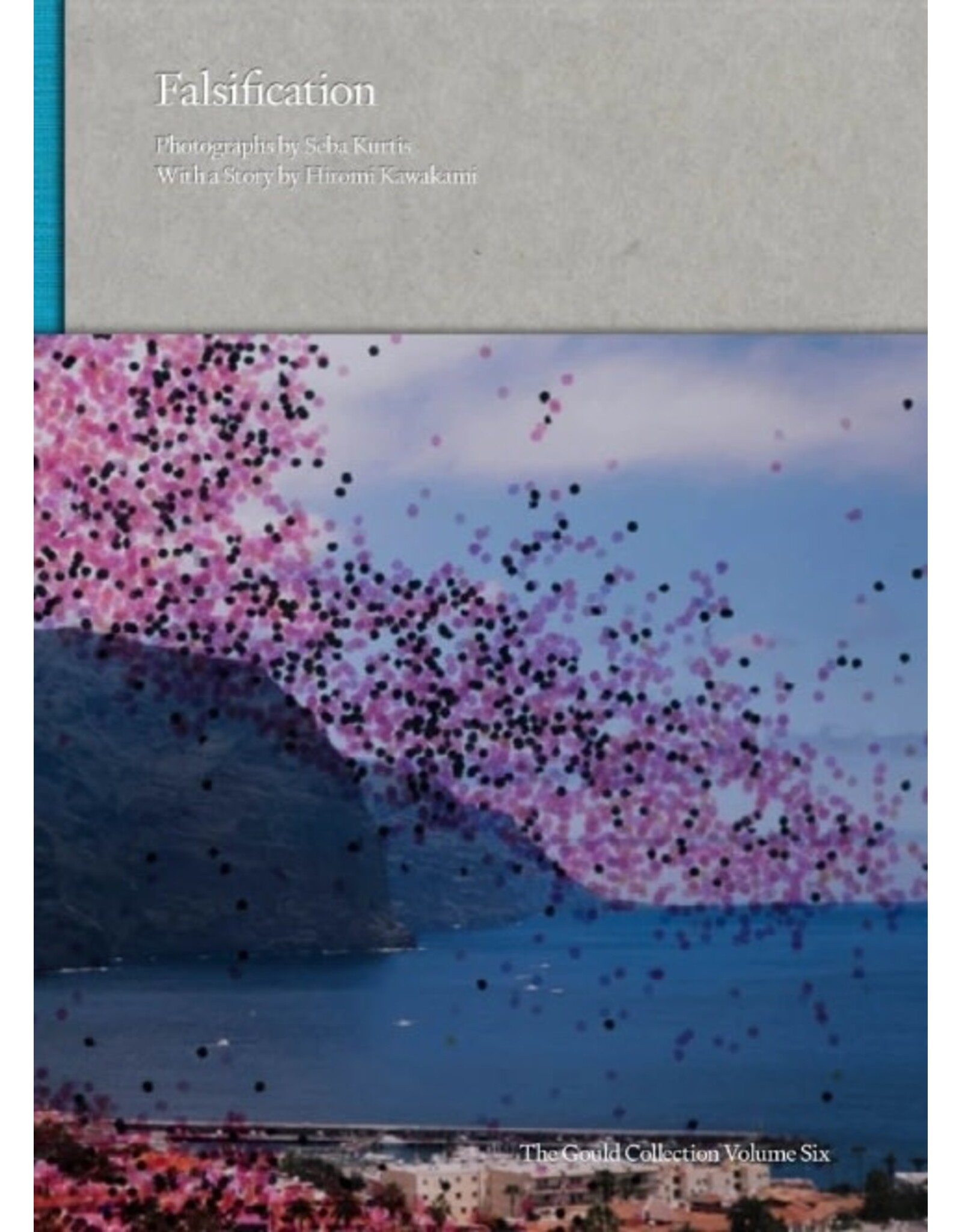 Seba Kurtis/Hiromi Kawakami: Falsification