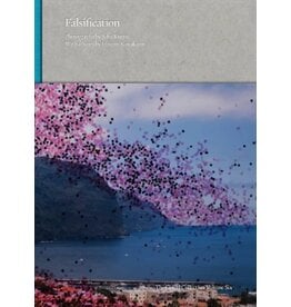 Seba Kurtis/Hiromi Kawakami: Falsification