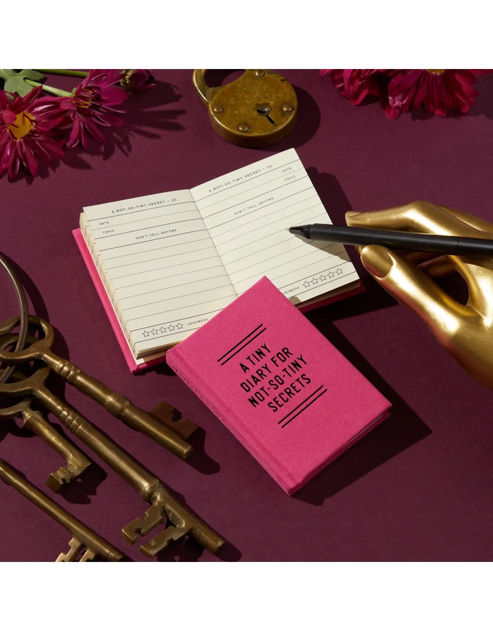 chronicle books Brass Monkey Tiny Diary For Not So Tiny Secrets