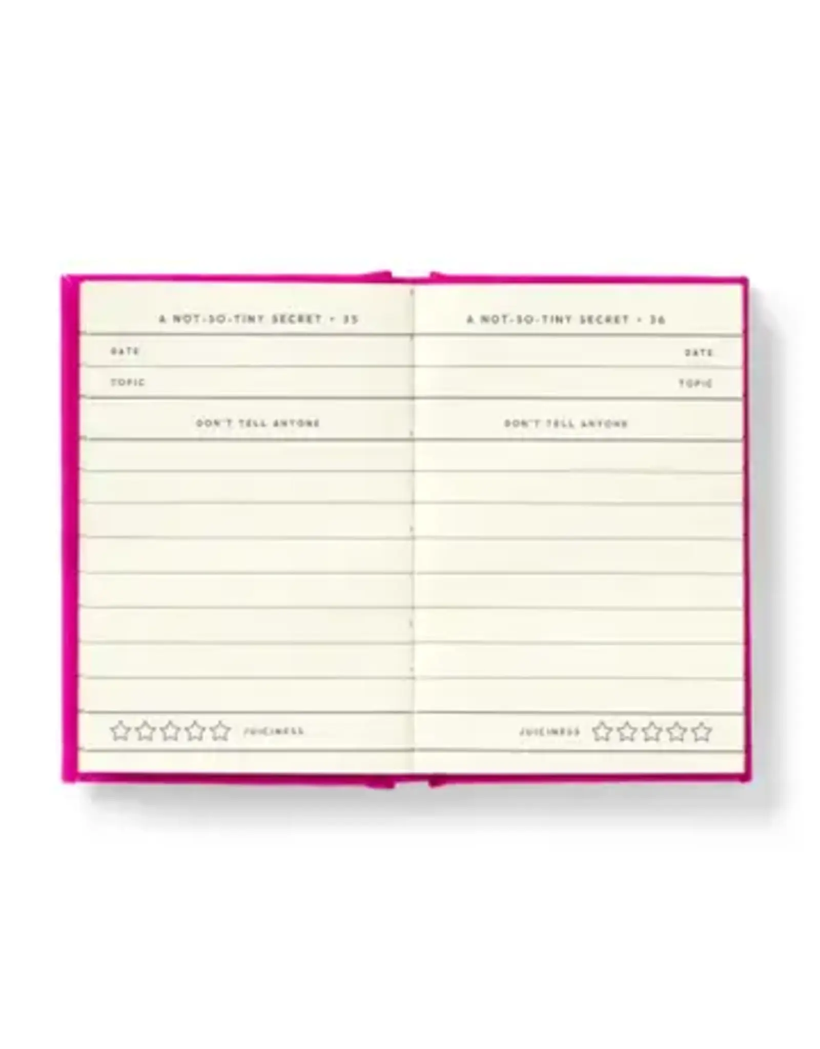 chronicle books Brass Monkey Tiny Diary For Not So Tiny Secrets
