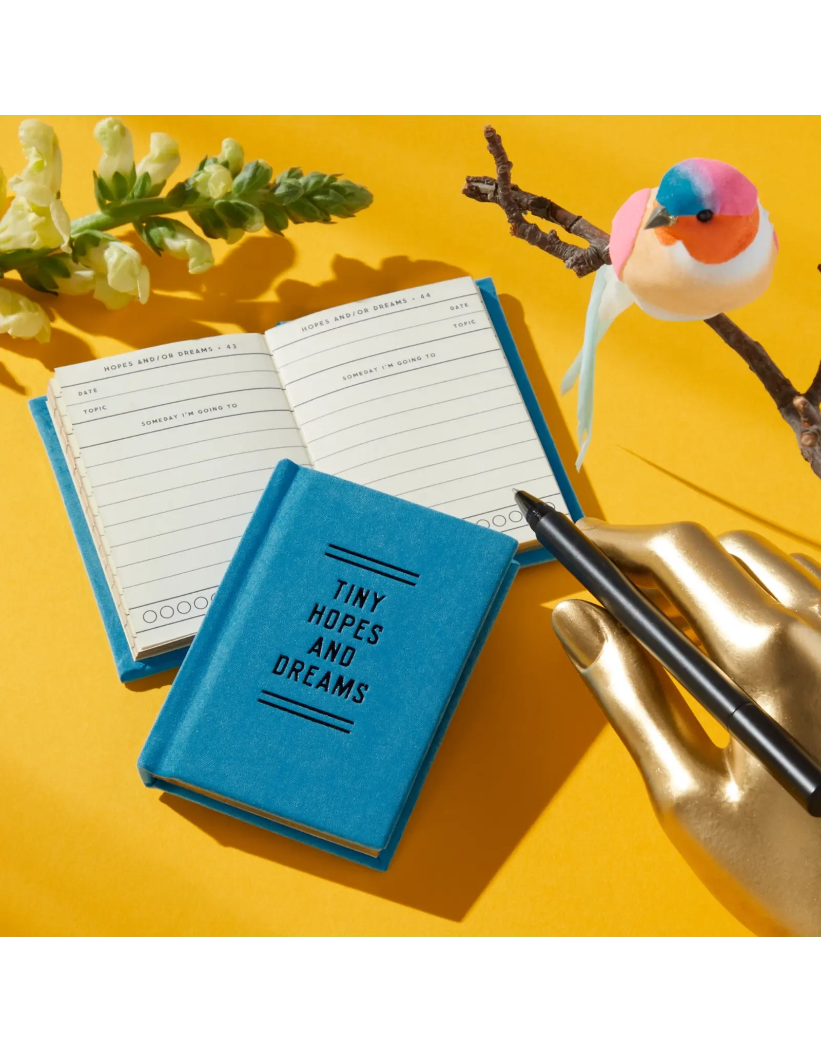Tiny Hopes and Dreams Tiny Diary