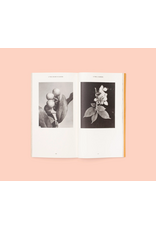 Conveyor Studio Magali Duzant: A Tree Grows in Queens