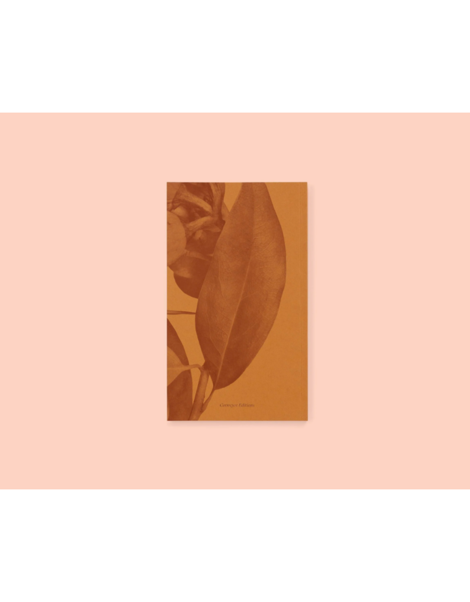 Conveyor Studio Magali Duzant: A Tree Grows in Queens