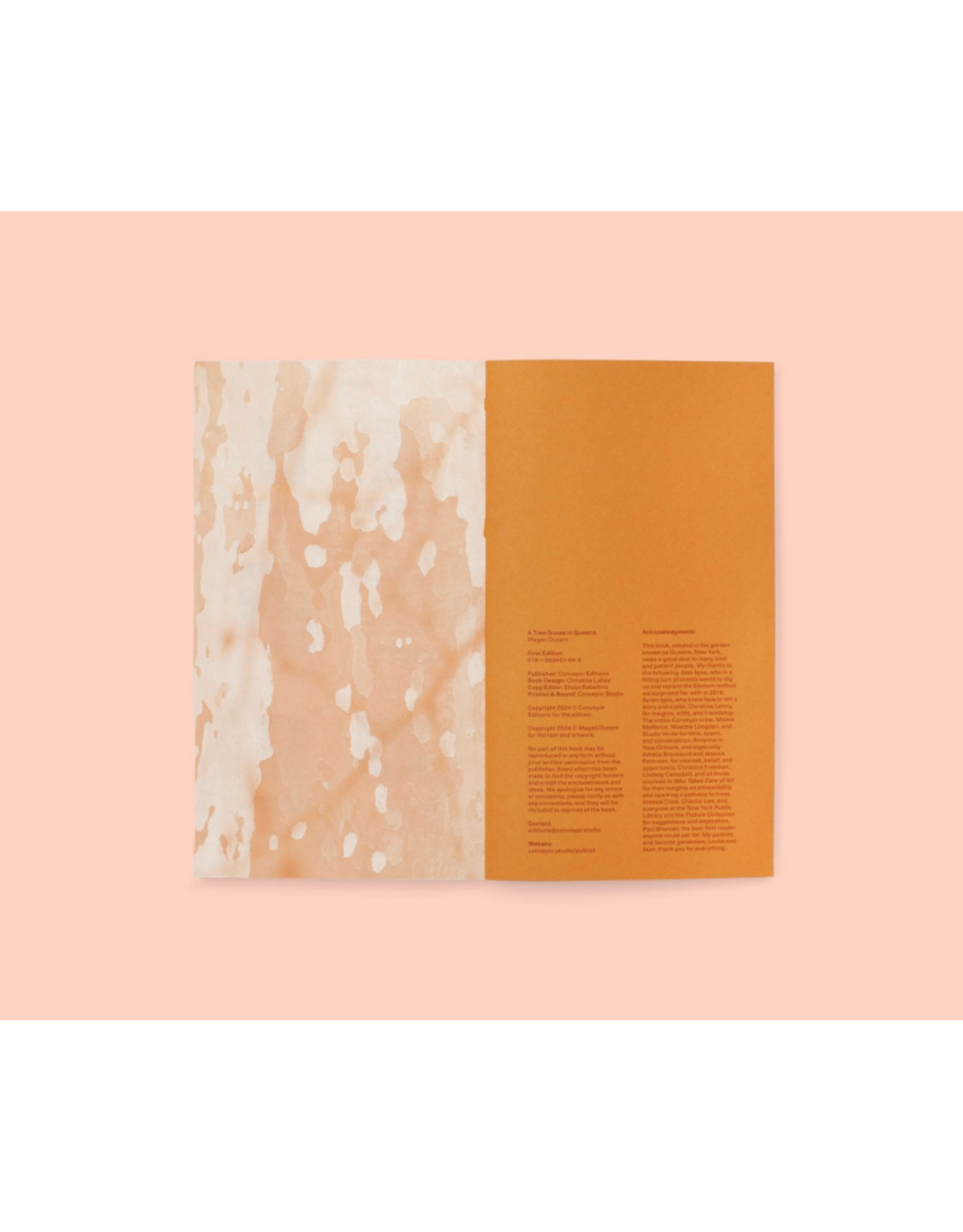 Conveyor Studio Magali Duzant: A Tree Grows in Queens