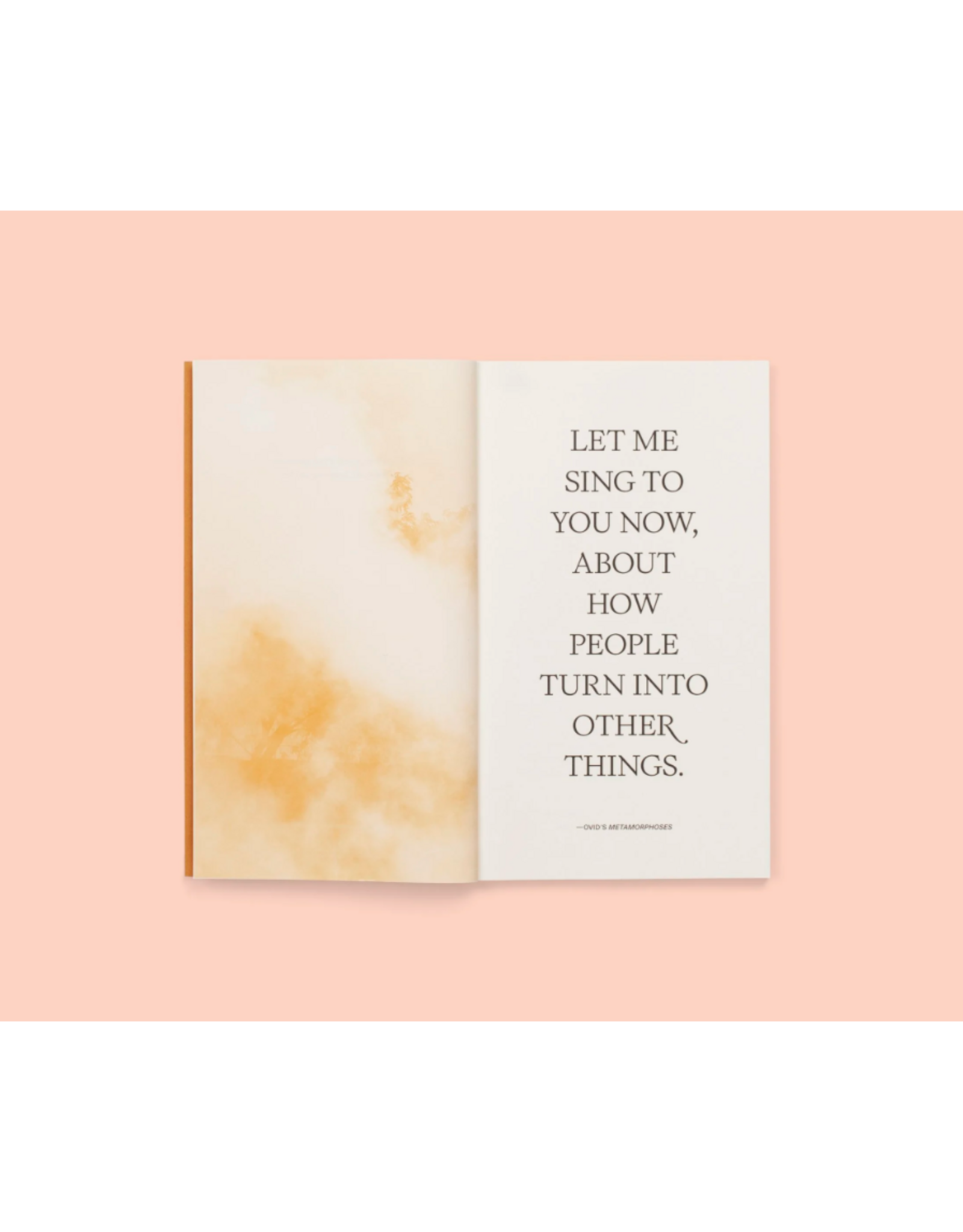 Conveyor Studio Magali Duzant: A Tree Grows in Queens