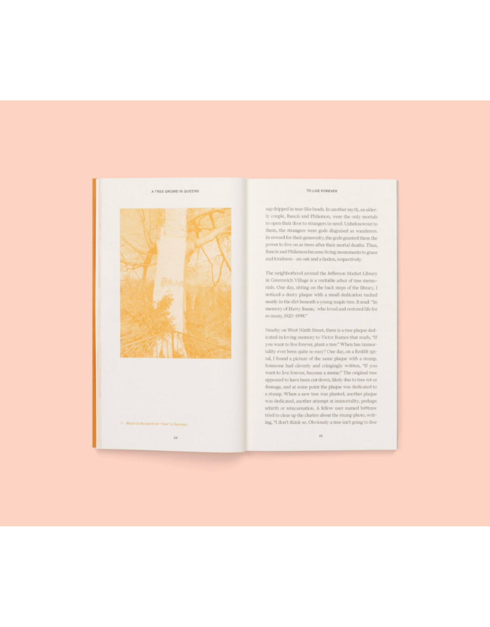 Conveyor Studio Magali Duzant: A Tree Grows in Queens