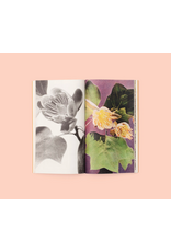 Conveyor Studio Magali Duzant: A Tree Grows in Queens