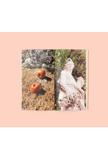 Conveyor Studio Magali Duzant: A Tree Grows in Queens