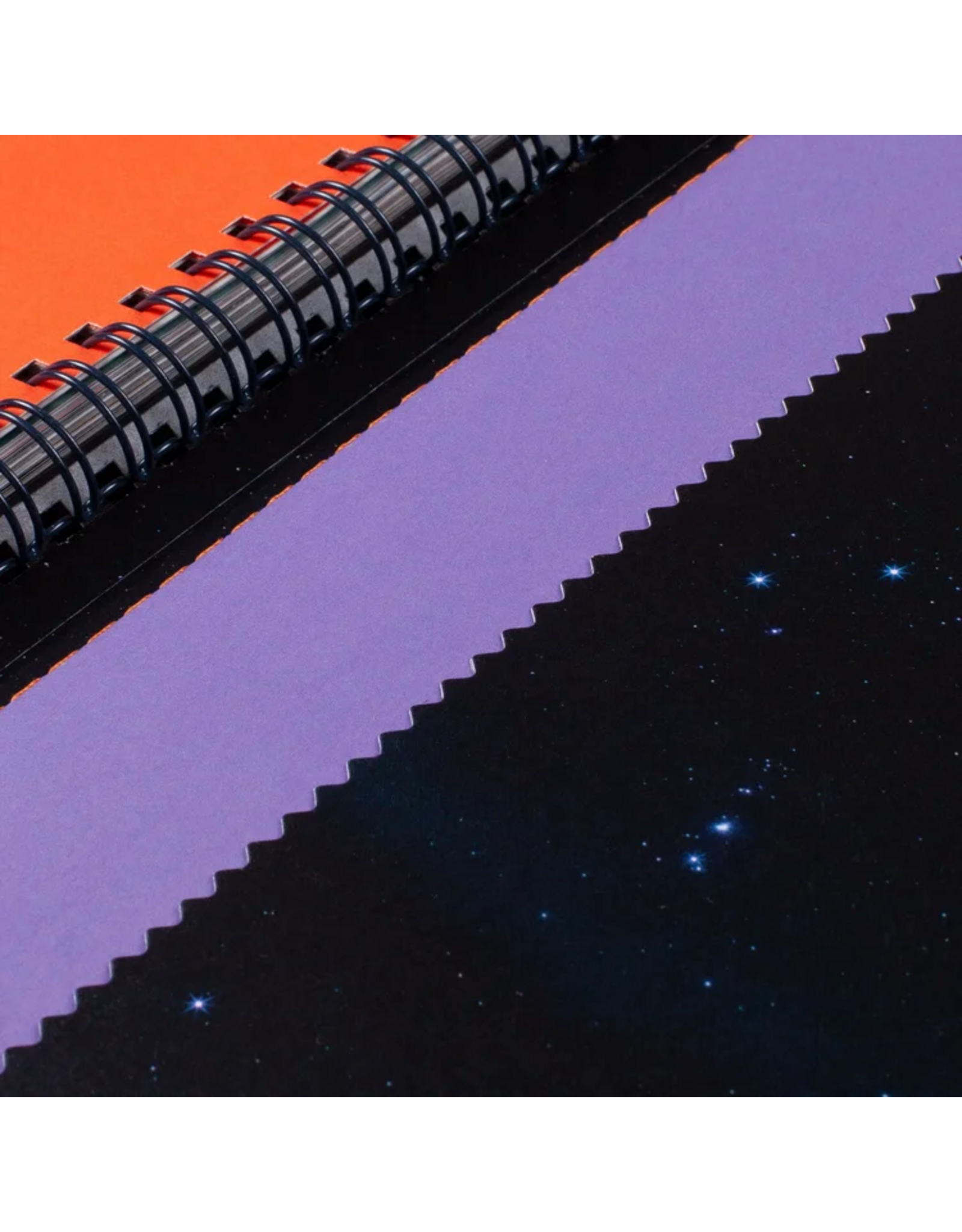 Conveyor Studio Brendan George Ko: Moemoeā