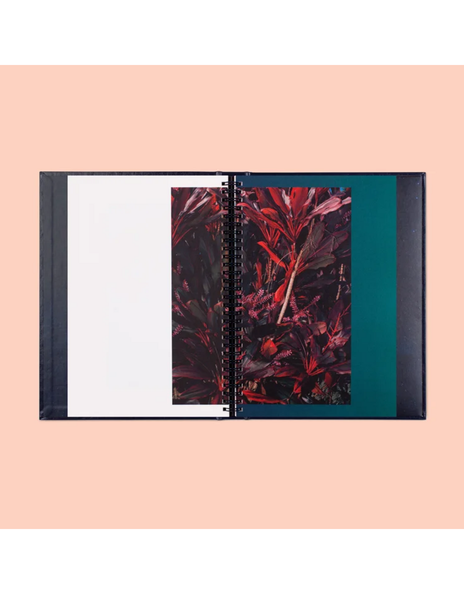 Conveyor Studio Brendan George Ko: Moemoeā