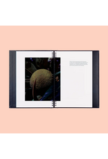 Conveyor Studio Brendan George Ko: Moemoeā