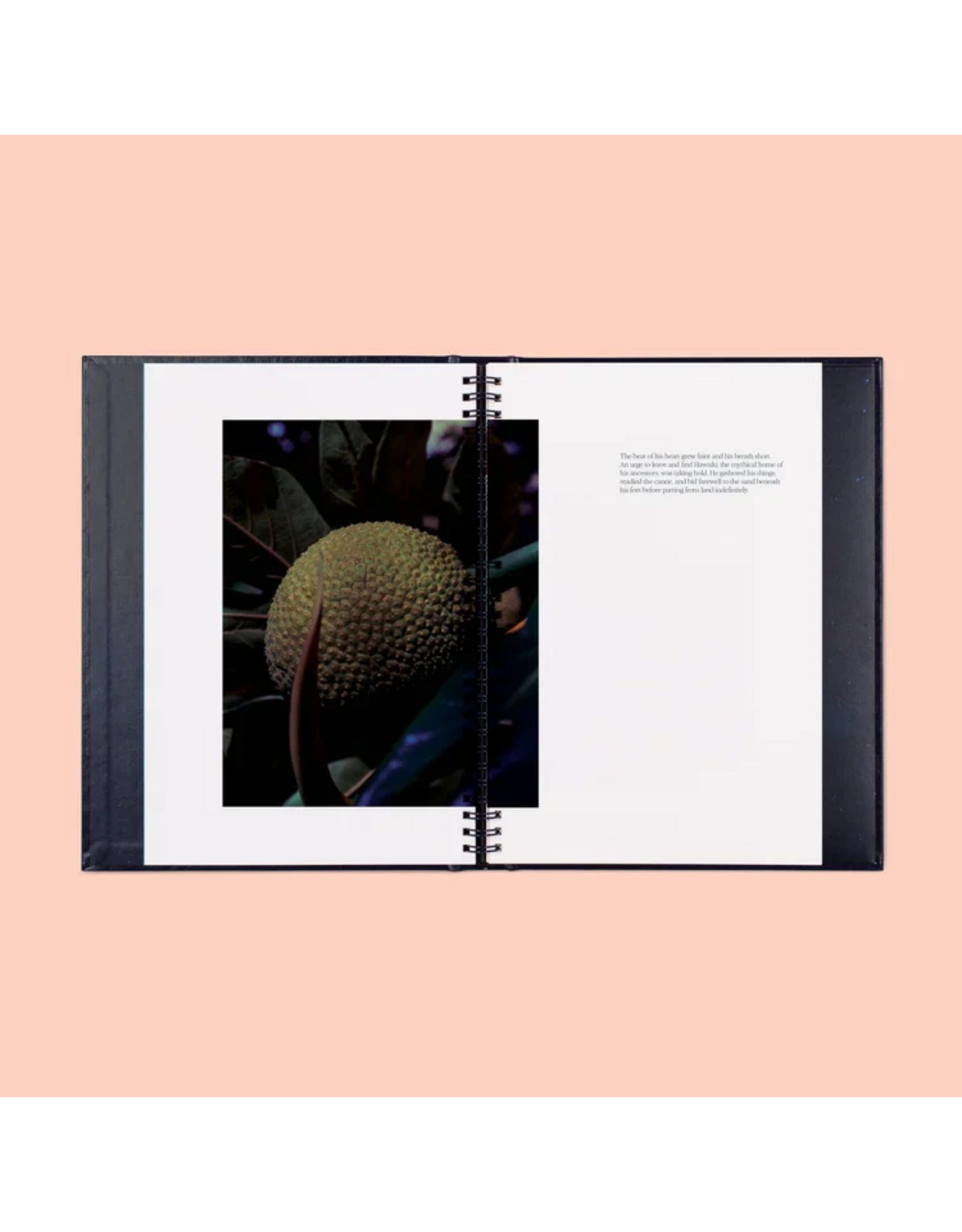 Conveyor Studio Brendan George Ko: Moemoeā