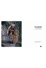 Blurring Books Jonathan Hollingsworth: Flaco