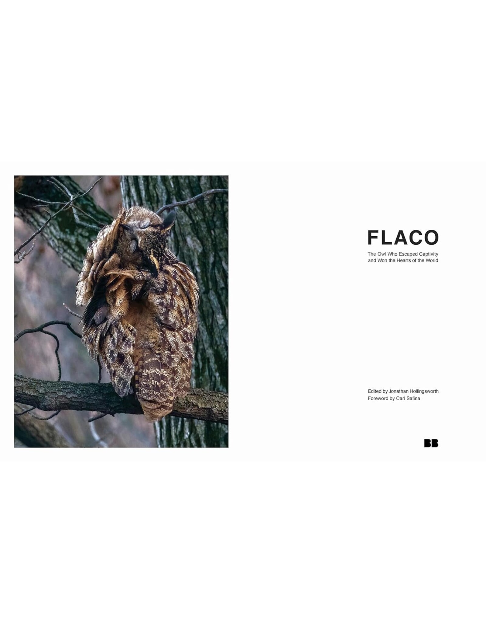 Blurring Books Jonathan Hollingsworth: Flaco