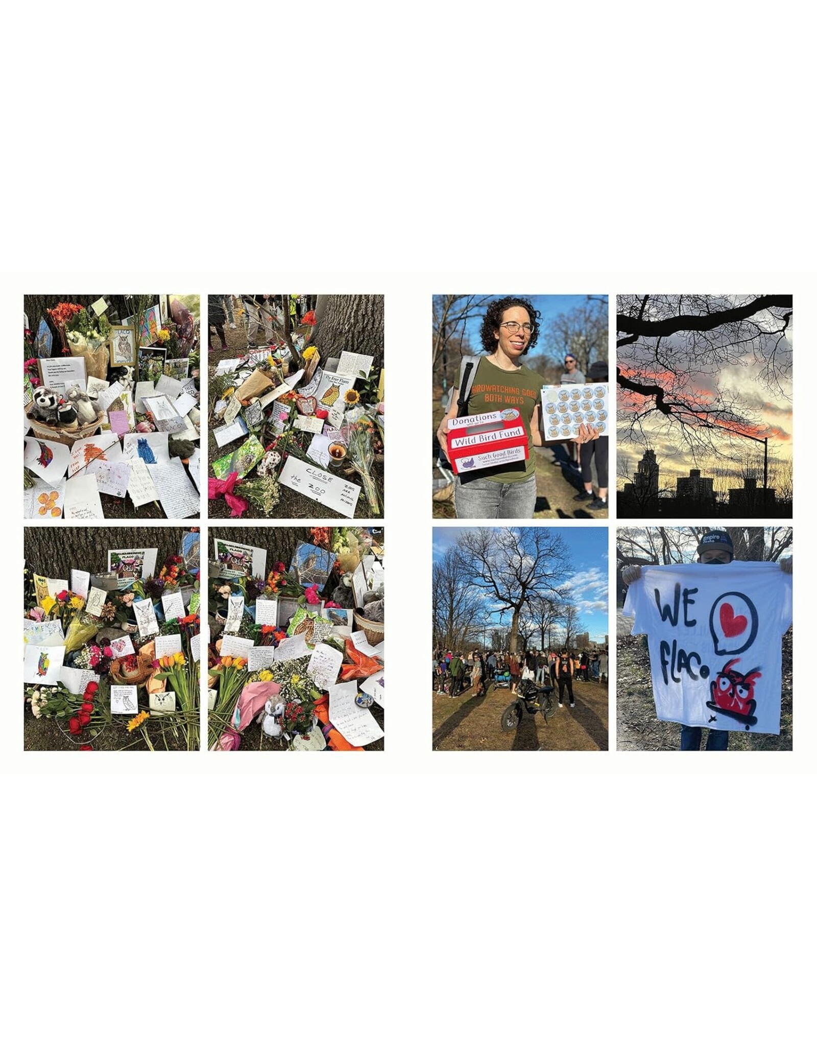 Blurring Books Jonathan Hollingsworth: Flaco