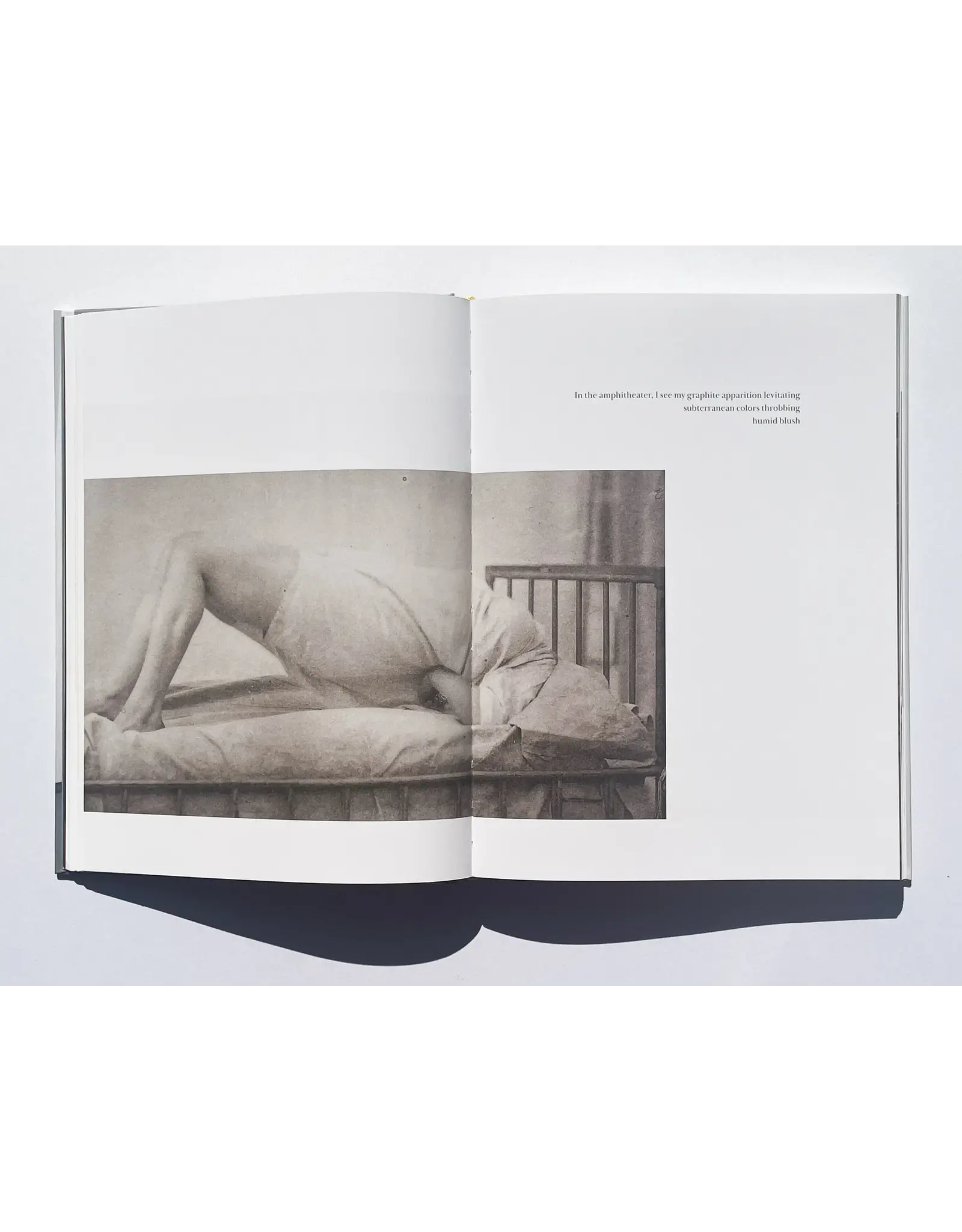 Laura Larson: City of Incurable Women