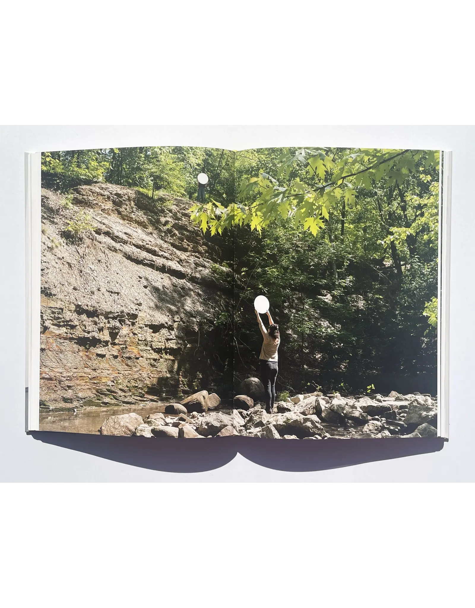 Laura Larson: City of Incurable Women