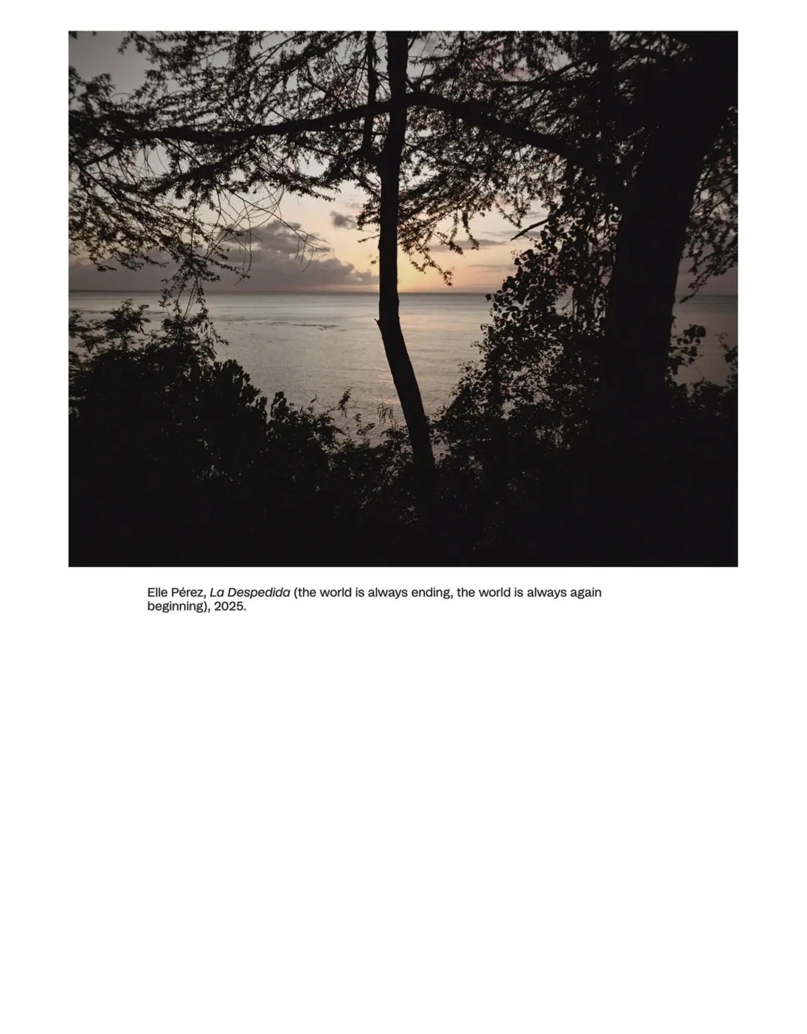 Objektiv Ellen Pérez: The Movement of Our Bodies (signed)