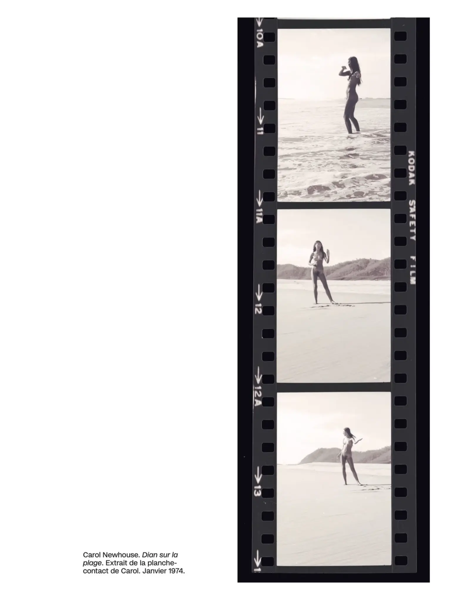 Objektiv Carol Newhouse & Carmen Winant: Double