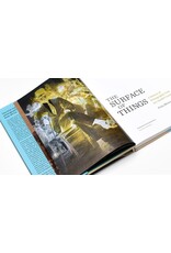 Princeton University Press Prita Meier: The Surface of Things