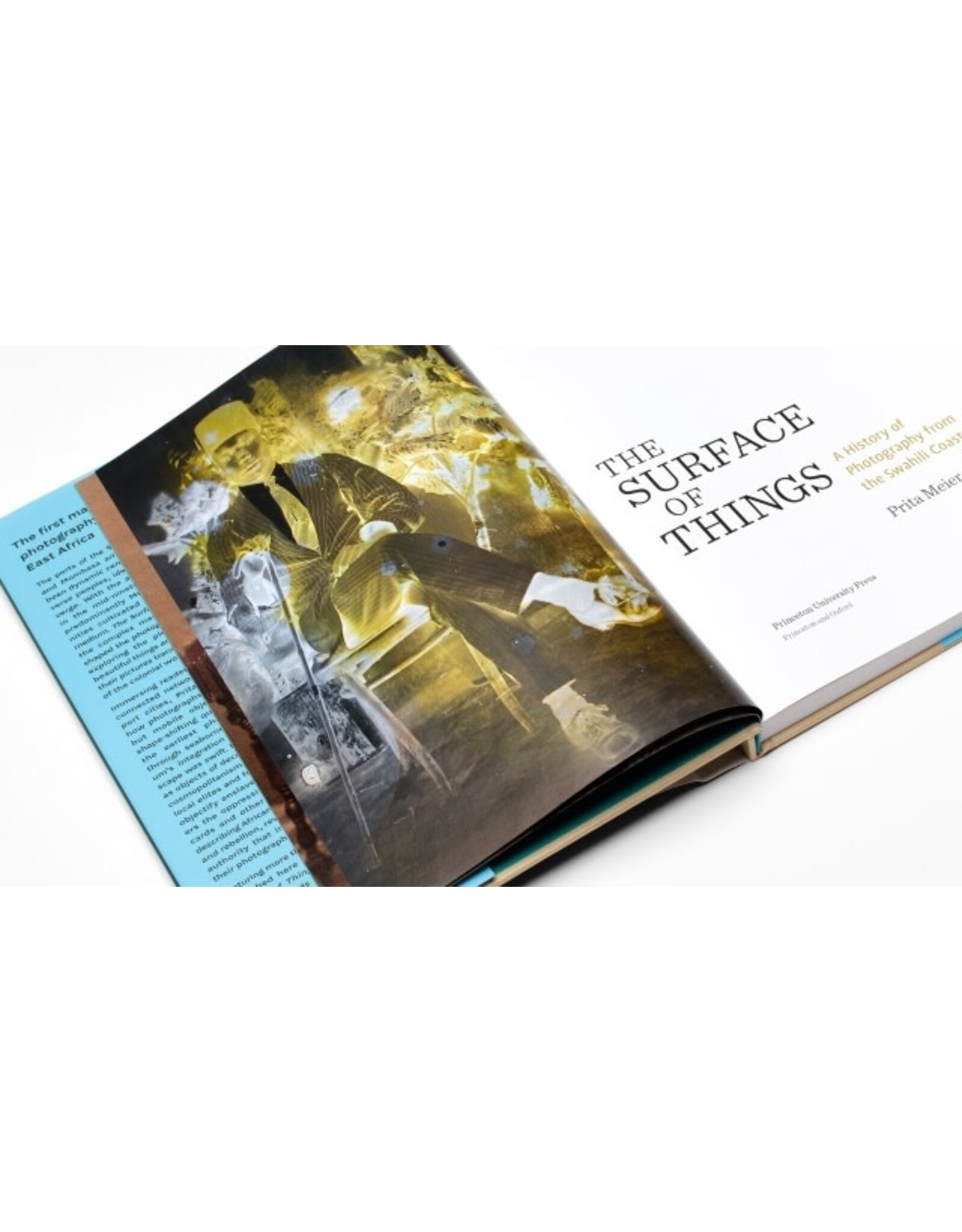 Princeton University Press Prita Meier: The Surface of Things