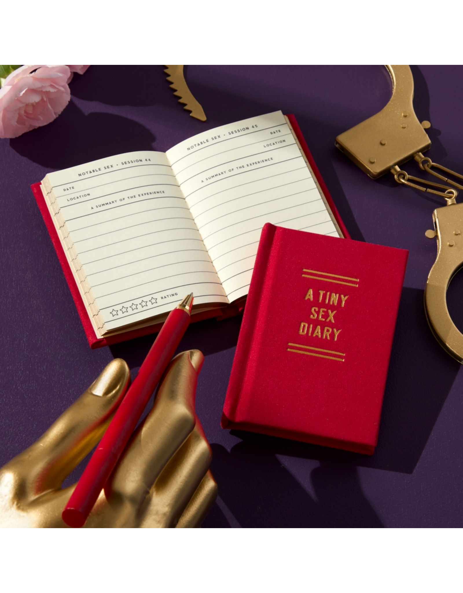 chronicle books A Tiny Sex Diary