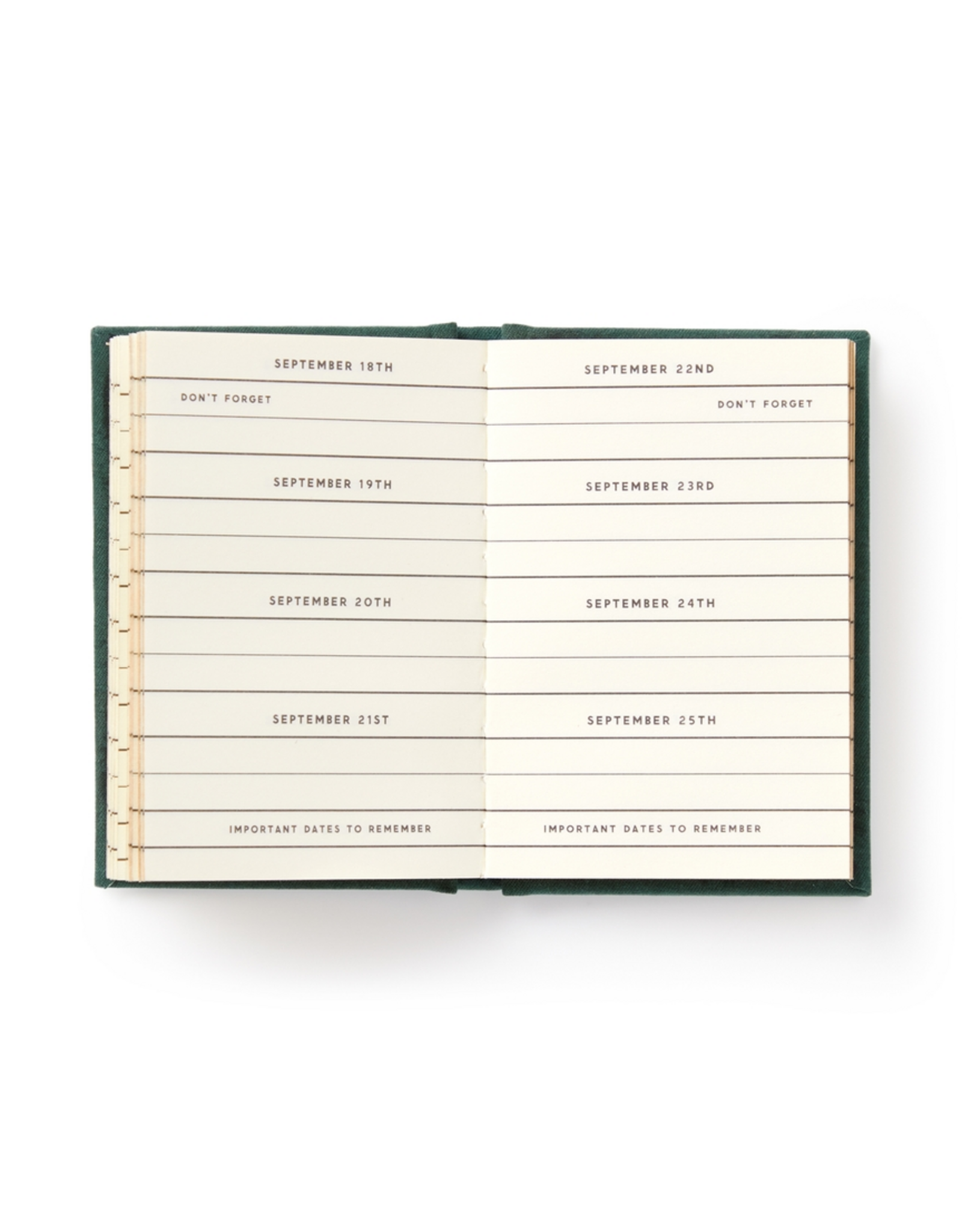 chronicle books Dates People Get Mad If I Forget Tiny Diary
