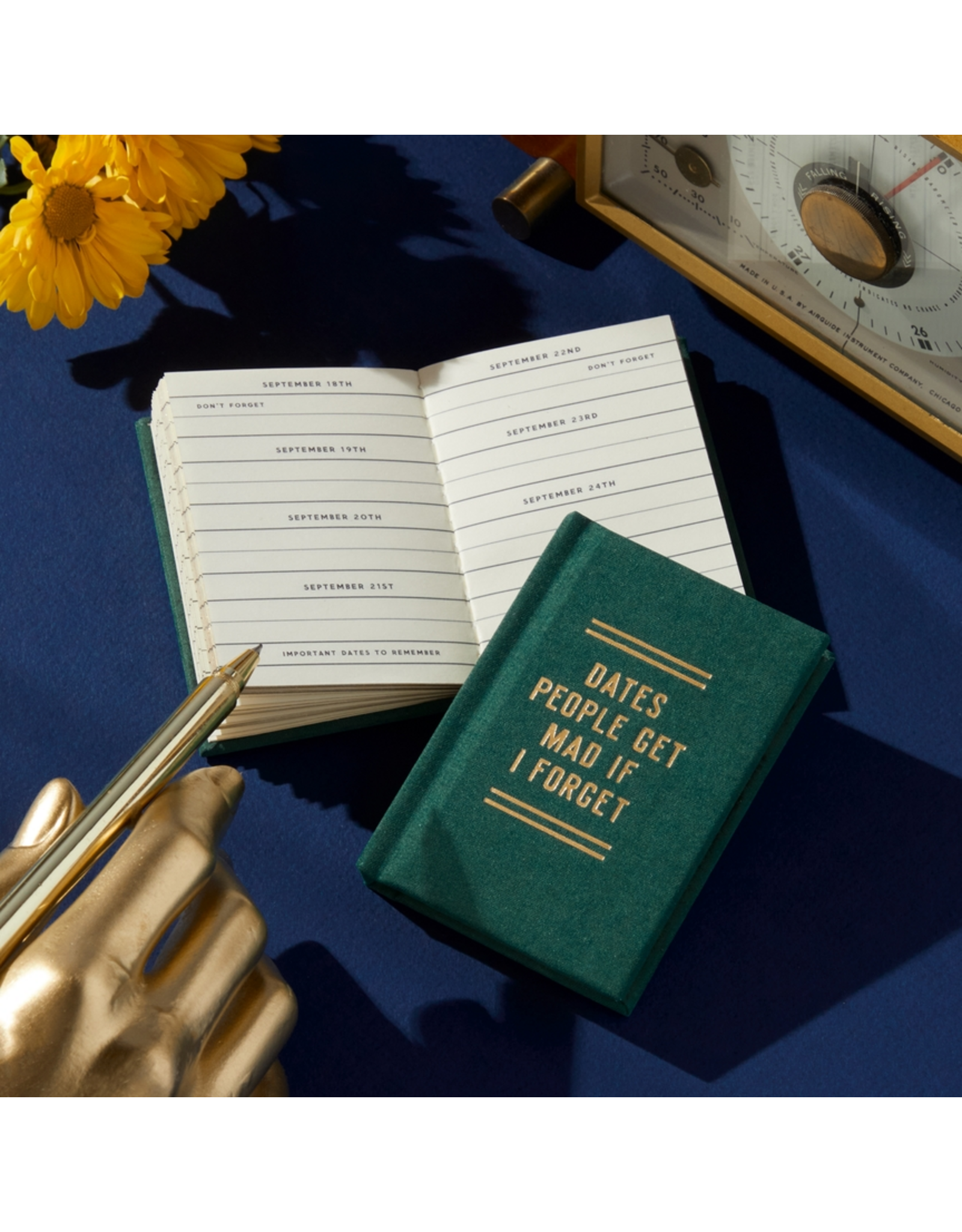 chronicle books Dates People Get Mad If I Forget Tiny Diary