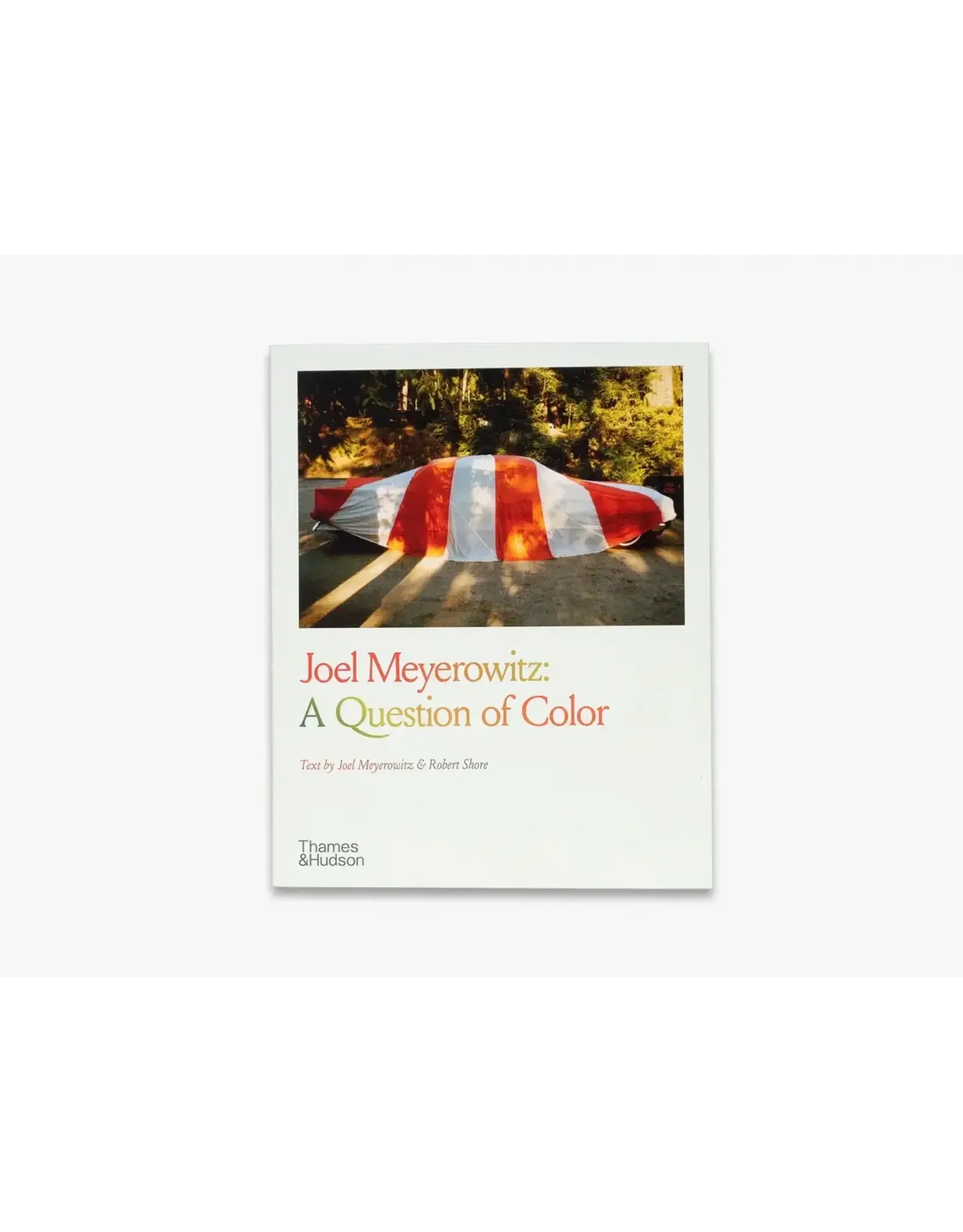 Joel Meyerowitz: A Question of Color