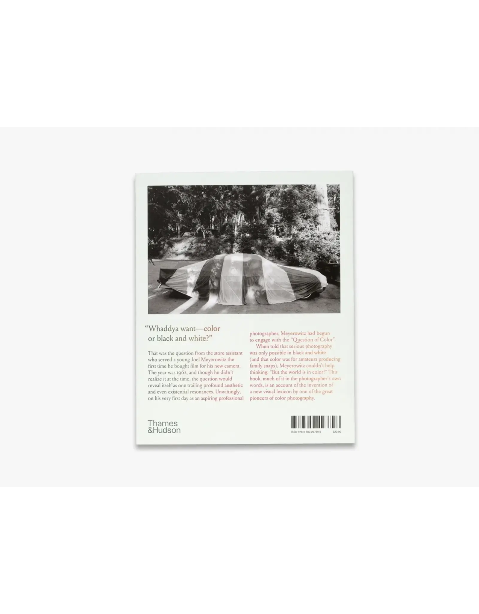 Joel Meyerowitz: A Question of Color