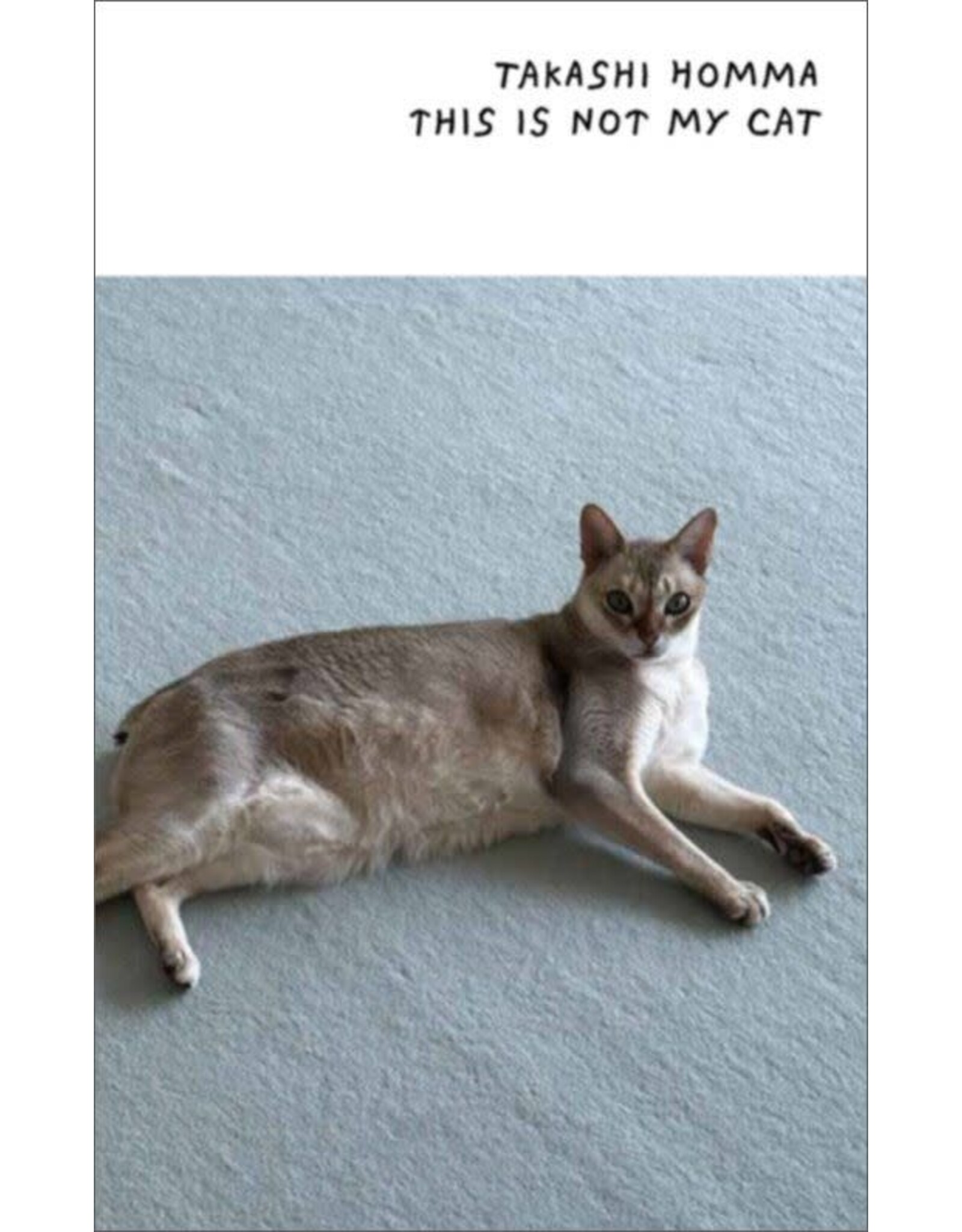 Takashi Homma: This Is Not My Cat