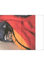 Takashi Homma: This Is Not My Cat