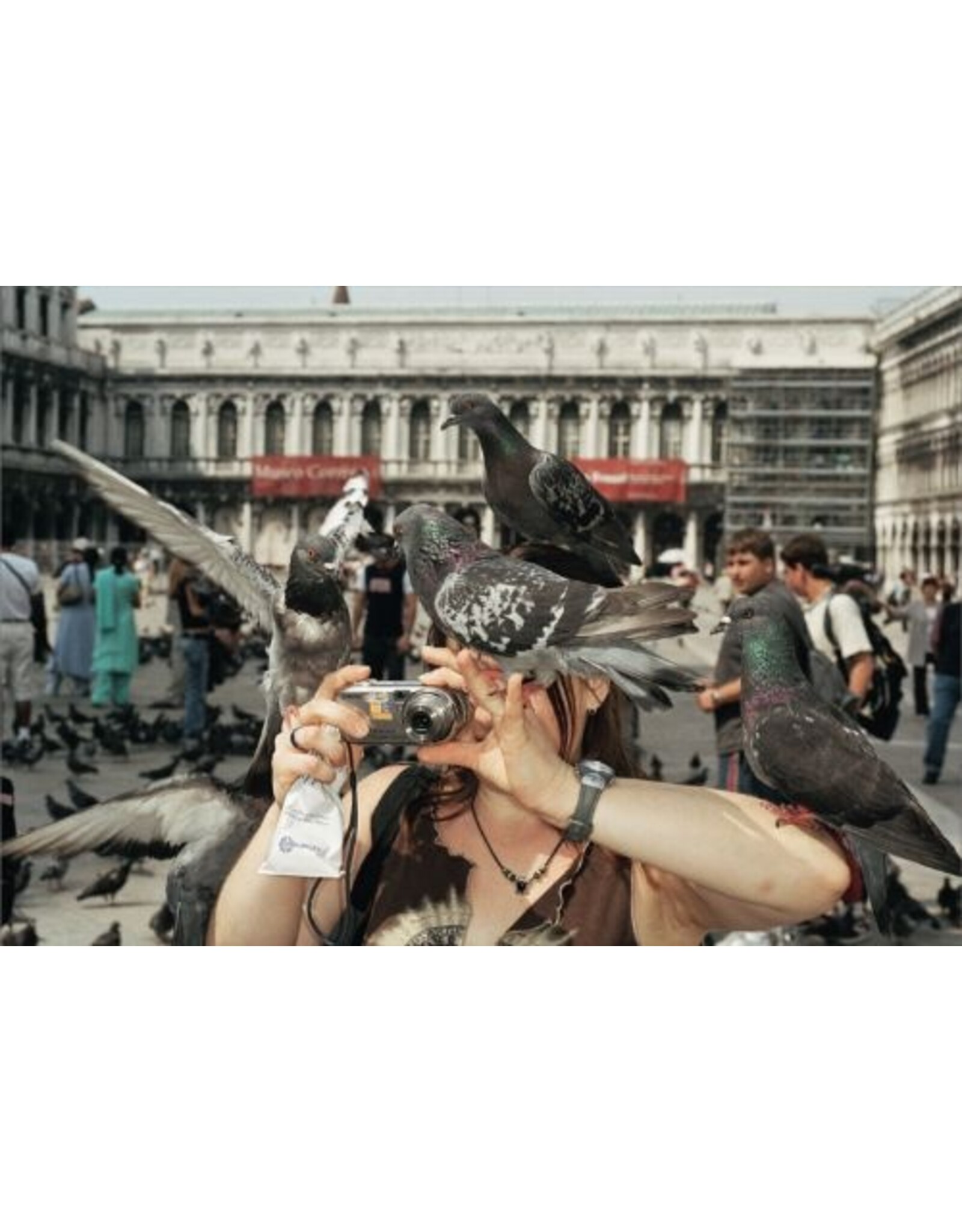 Rookie Books Martin Parr: Animals