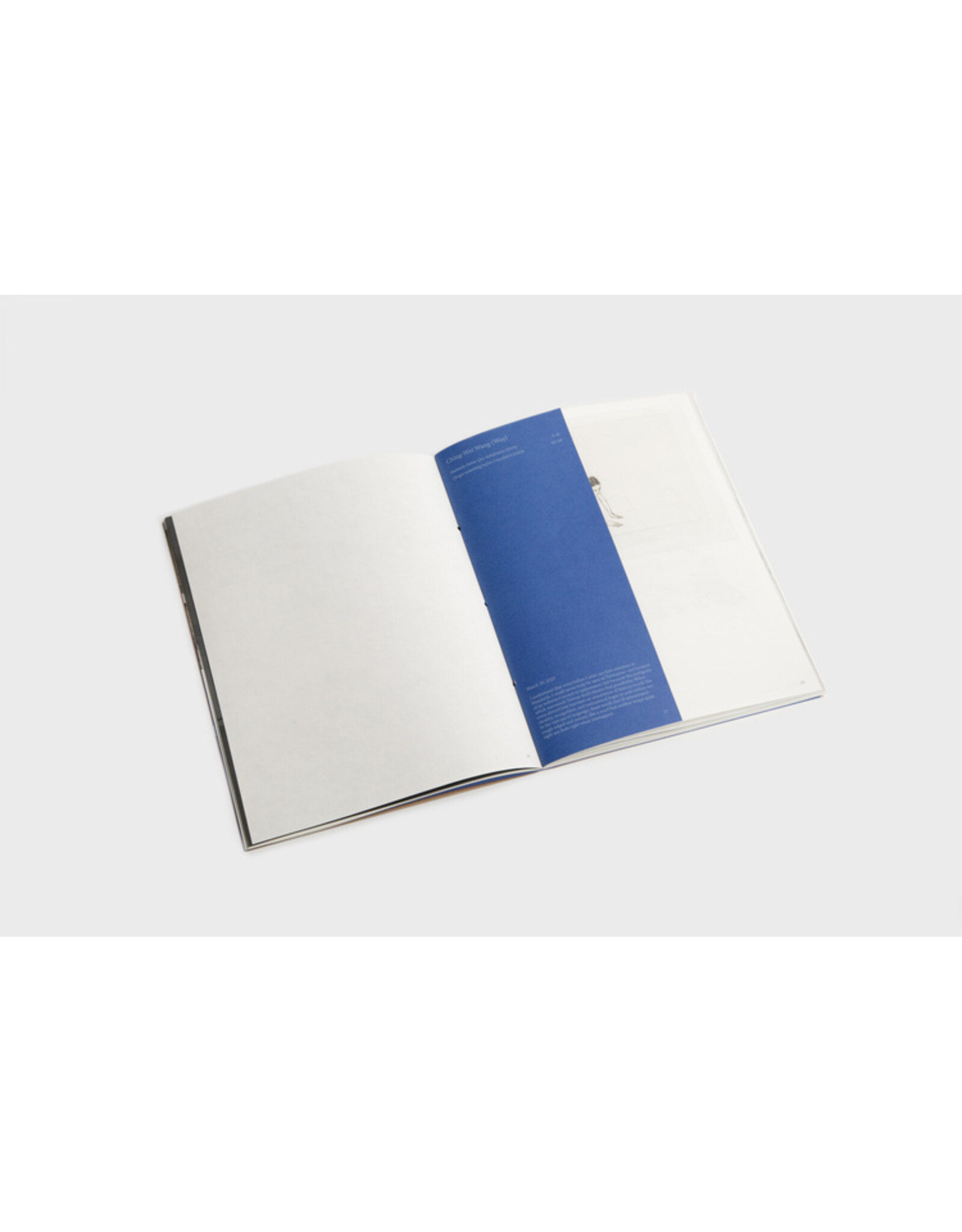 Zug Press Tidal Issue1: Shoreline
