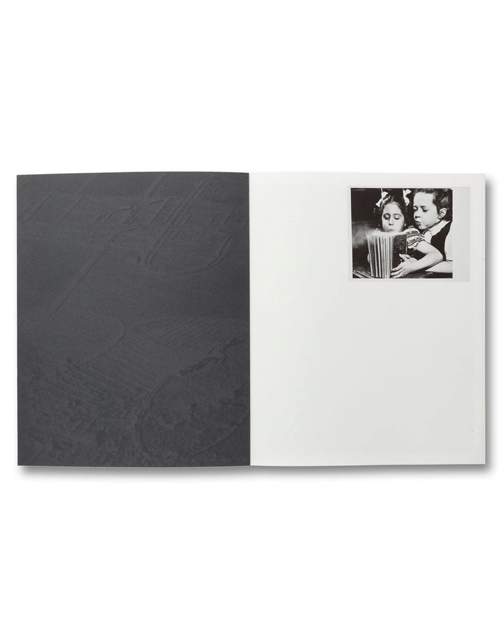 David Campany: a Handful of Dust (Second Edition)
