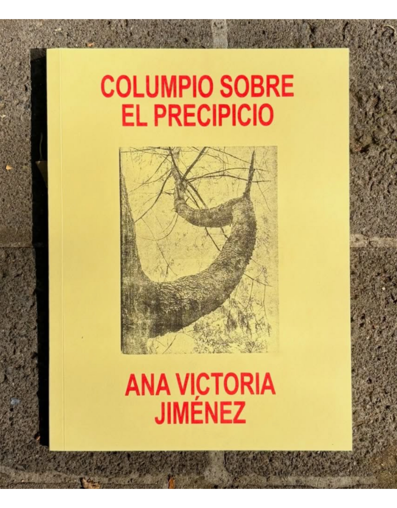 Miau Ana Victoria Jiménez: El columpio sobre el precipicio
