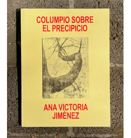 Miau Ana Victoria Jiménez: El columpio sobre el precipicio