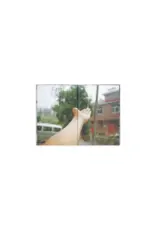 Jiazazhi 214: Touch