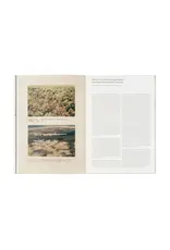 Jiazazhi Andrea Orejarena & Caleb Stein: Long Time No See