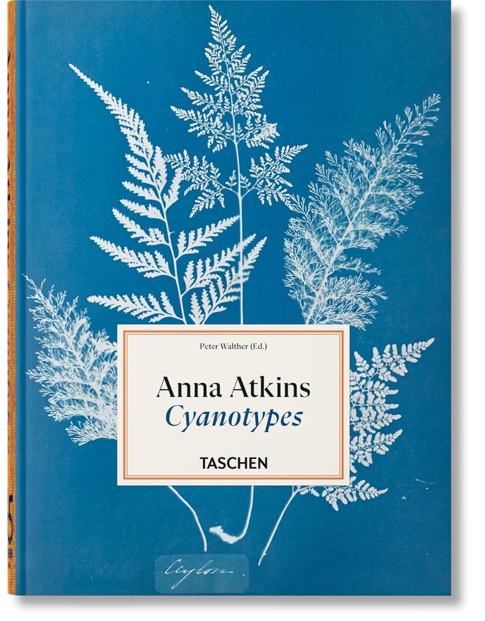 TASCHEN Anna Atkins. Cyanotypes. 45th Ed. (45th Edition) (Multilingual Edition)