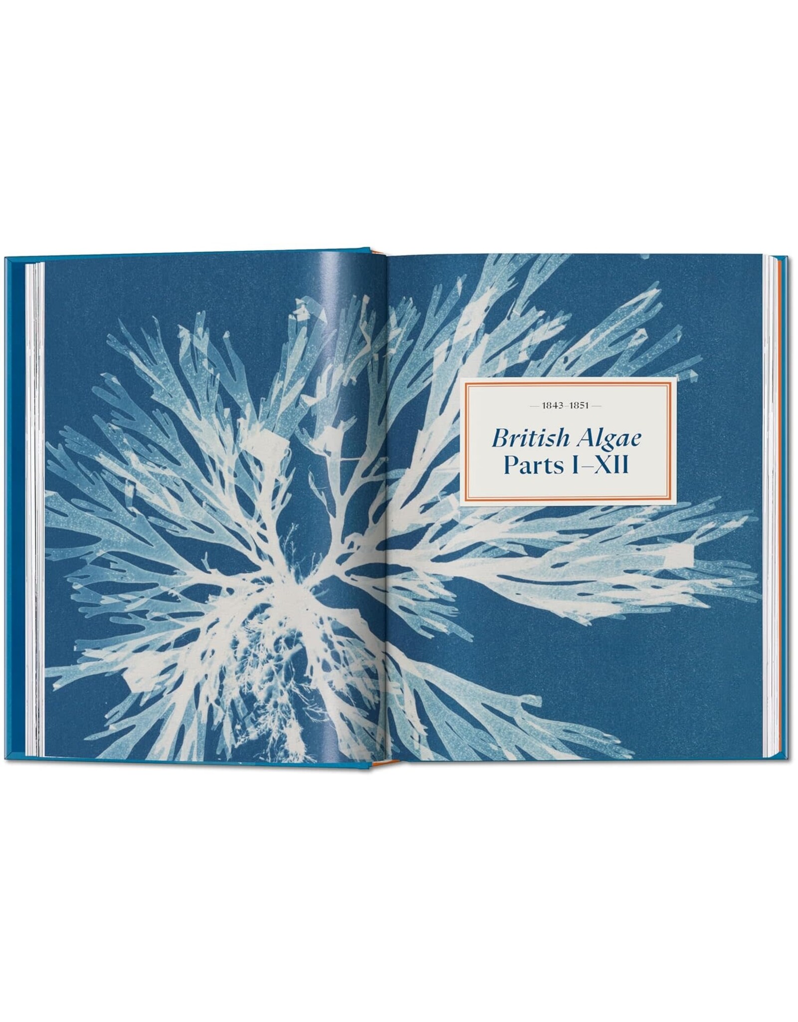 TASCHEN Anna Atkins. Cyanotypes. 45th Ed. (45th Edition) (Multilingual Edition)