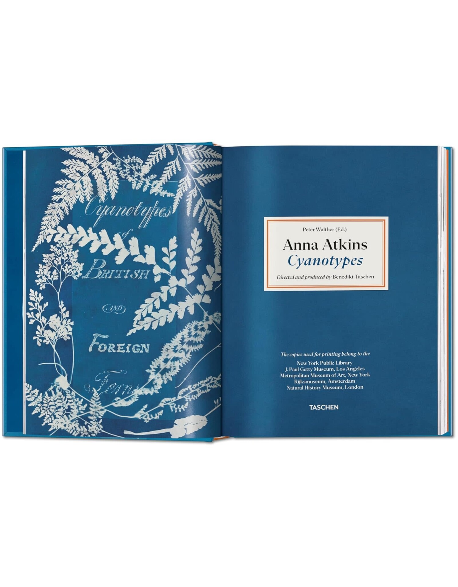 TASCHEN Anna Atkins. Cyanotypes. 45th Ed. (45th Edition) (Multilingual Edition)