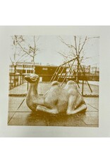 Gold Rain Happy camel from Bedstuy riso print