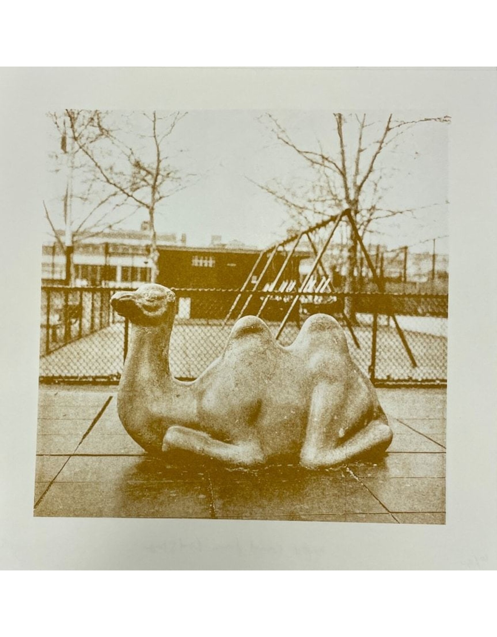 Gold Rain Happy camel from Bedstuy riso print