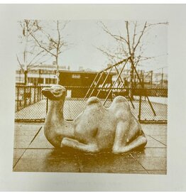 Gold Rain Happy camel from Bedstuy riso print