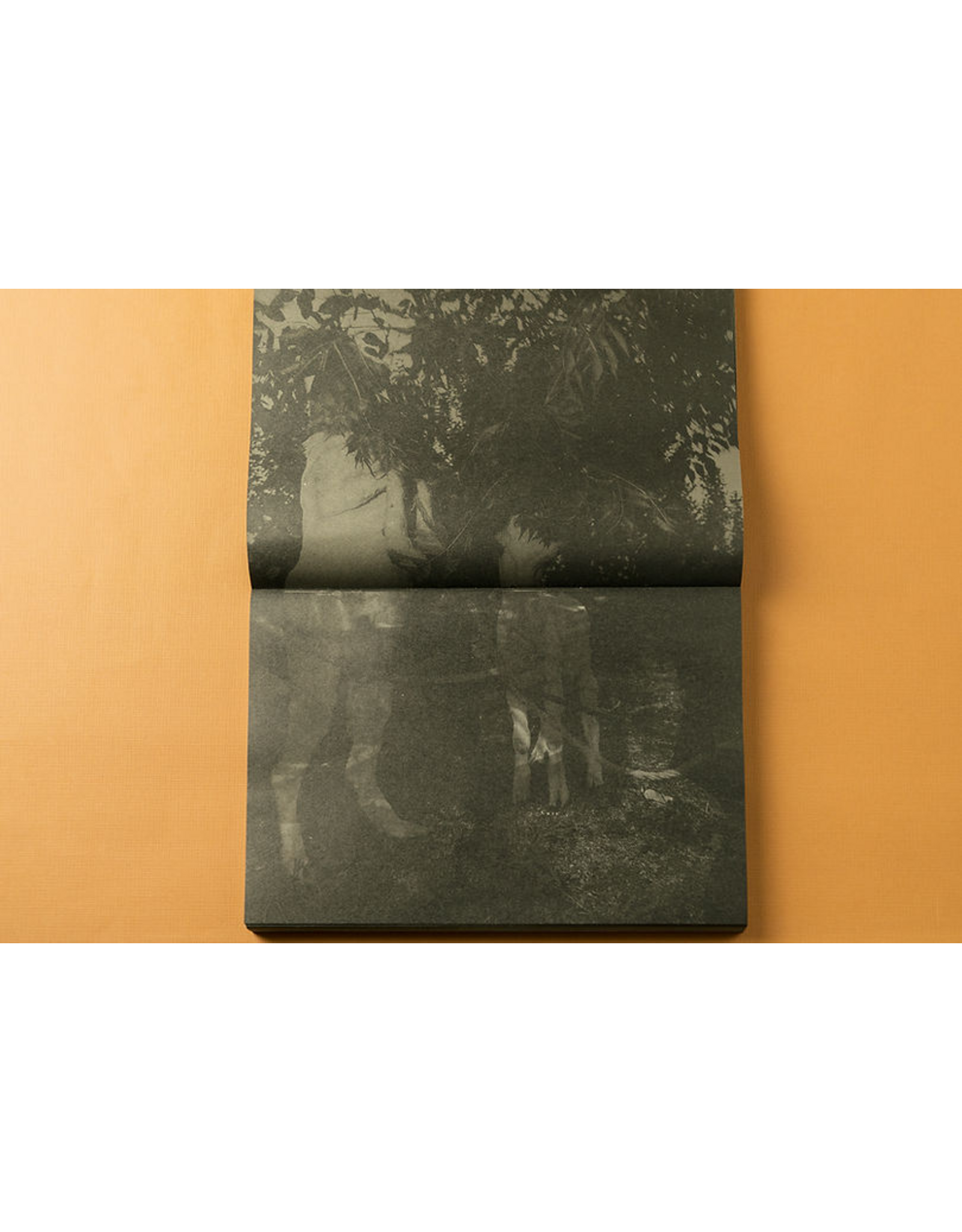 La Maison De Z JT: Wild Grass