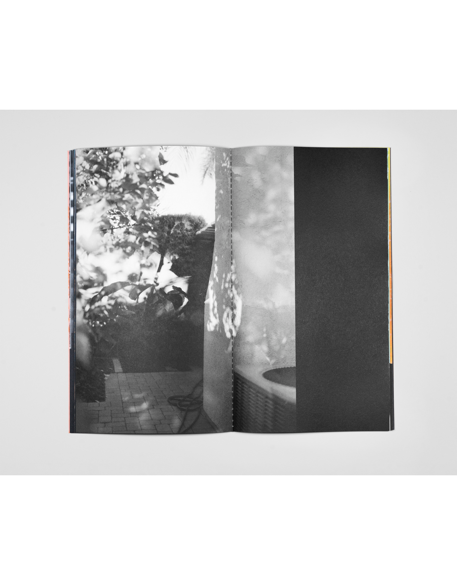 Lindsay Buchman: Earth Sky Plant Ground