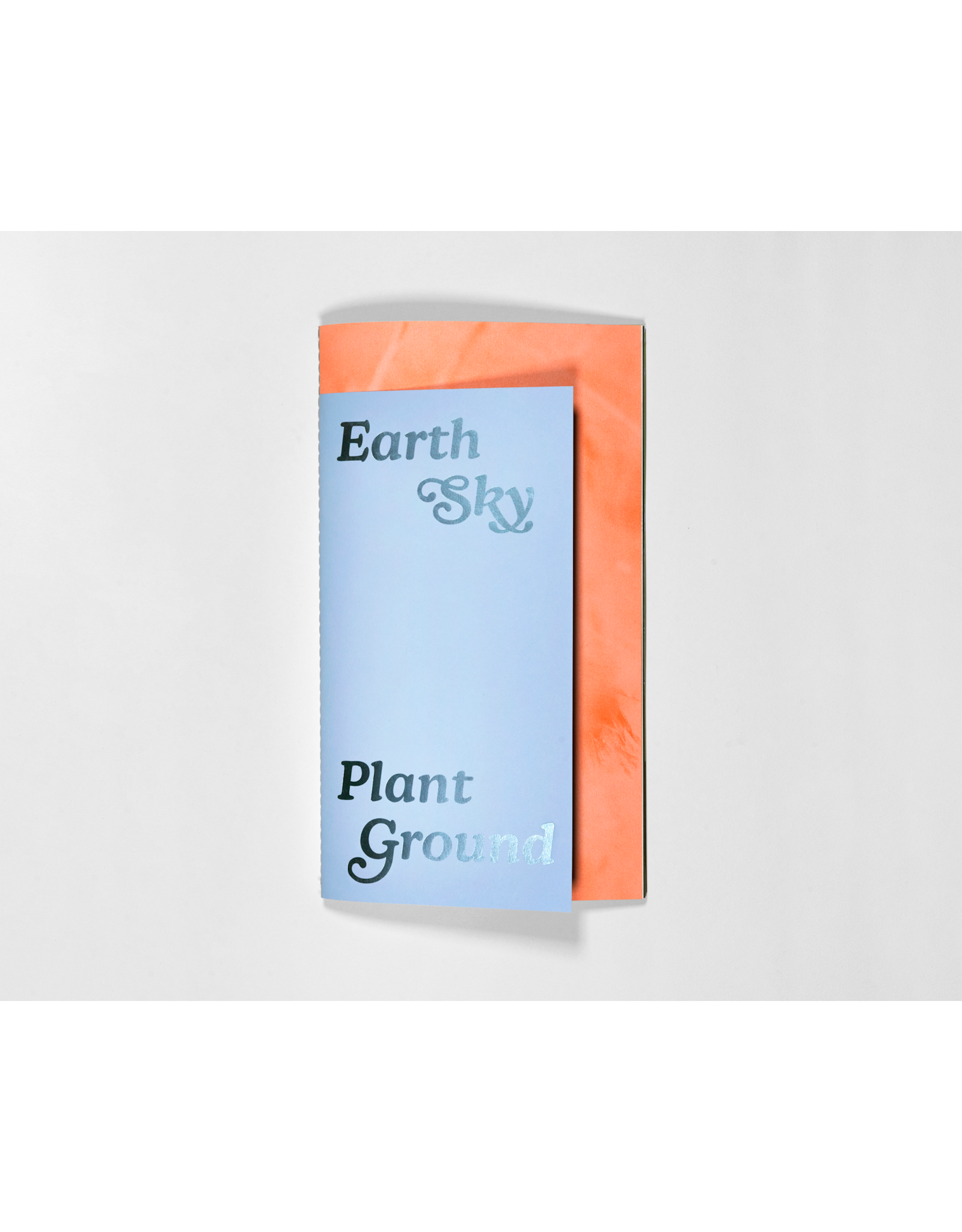 Lindsay Buchman: Earth Sky Plant Ground