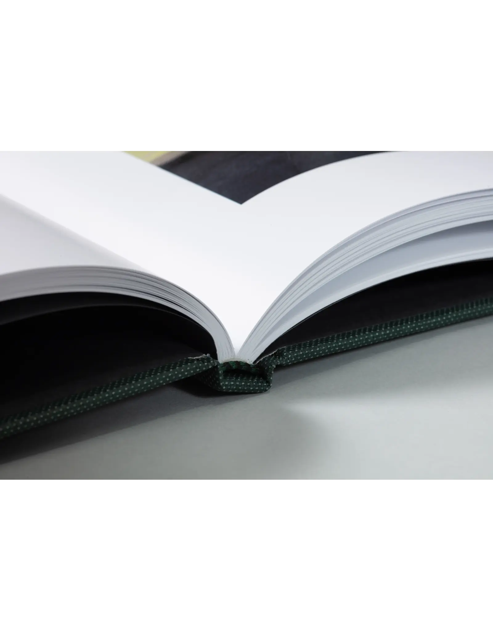 TBW Books Curran Hatleberg: Lost Coast (Second Edition)