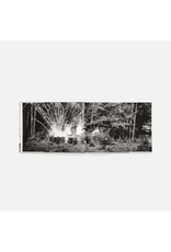 Aperture An-My Lê: Small Wars